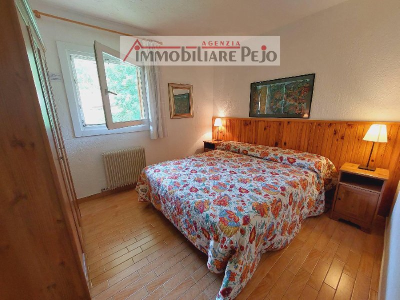 foto0