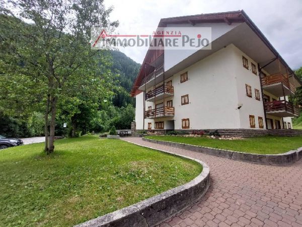 Appartamento vendita Peio (Trento) Via del Fontanino, € 168.000 (Tratt.), 3 camere, 85 mq, Terzo piano